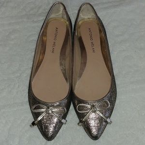 Antonio Melani Pointed-Toe Ballerina Flats